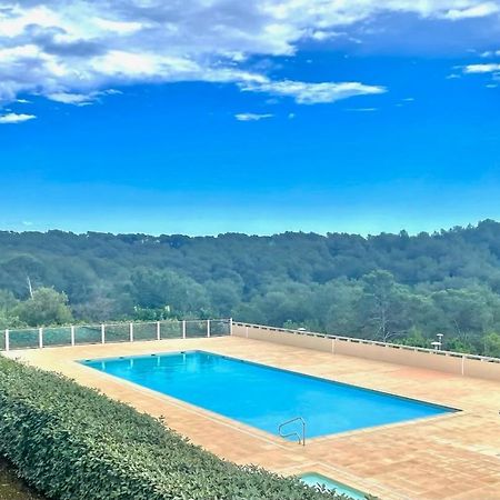 Grand Studio Avec Coin Nuit, Proche Mer Et Montagnes Roquebrune-sur Argens Luaran gambar